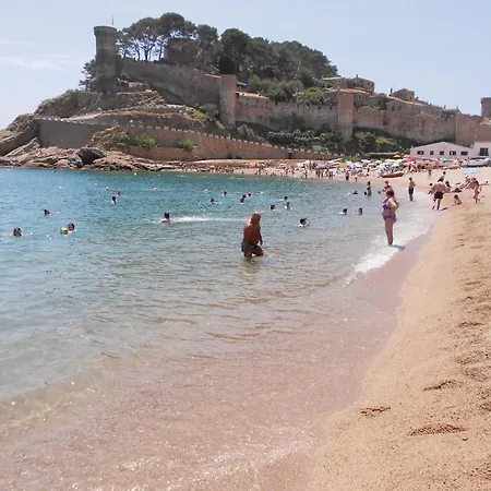 Lejlighed Stunning In