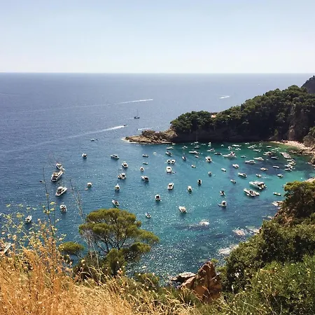 Amazing In With Wifi Tossa de Mar